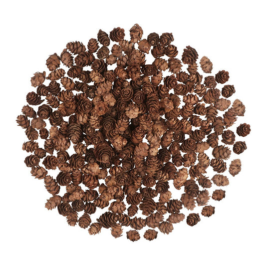 200PCS Christmas Natural Pine Cones Mini Fall Decorations Pinecones Ornaments Bulk Small Pine Cones for DIY Crafts Thanksgiving Fall Winter Christmas Wedding Decor Vase Filler Decor