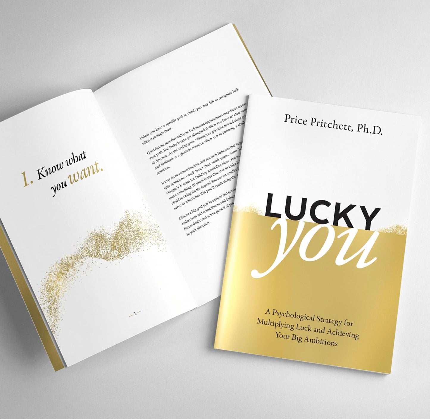 Lucky You - A Psychological Strategy for Multiplying Luck and Achieving Your Big Ambitions