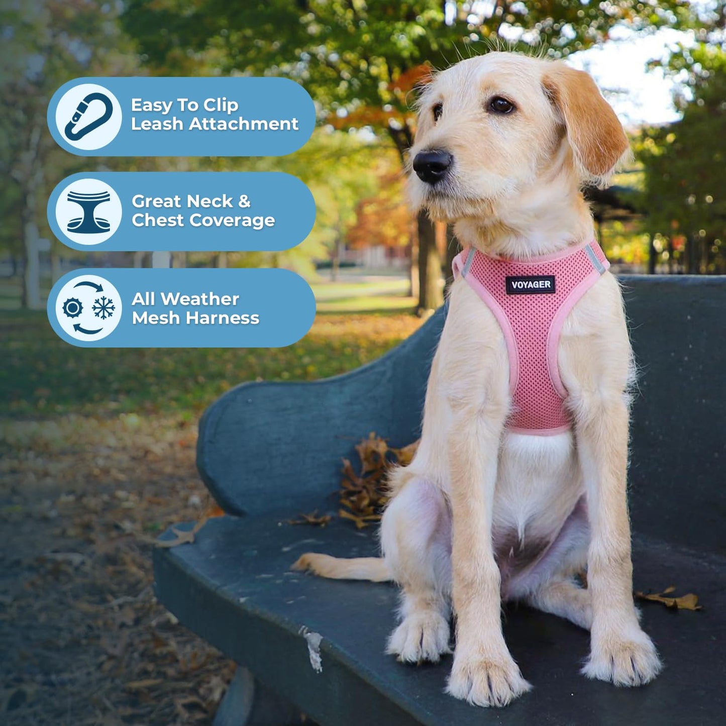 Best Pet Supplies Voyager Step-in Air Dog Harness - All Weather Mesh, Reflective, No Pull Harness for Small, Medium Dogs, Cats - Secure with Hook & Loop Fastener, Buckle, Double D-Rings - Pink, S