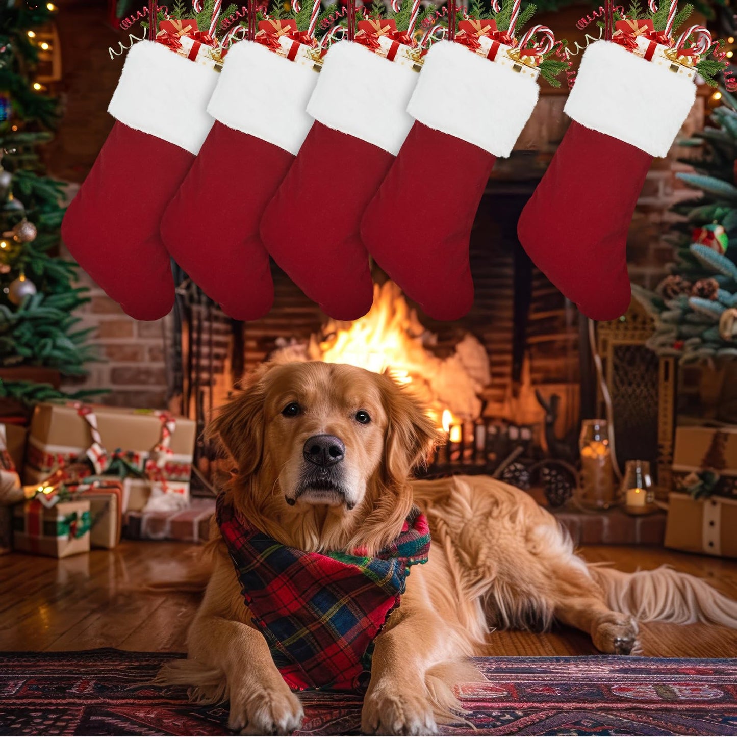 5 Pack Christmas Tradition Stockings, 18'' Family Christmas Stockings, Large Super Soft Christmas Stockings Red Velvet with White Super Soft Plush Cuff for Christmas Xmas Tree Holiday Fireplace H3