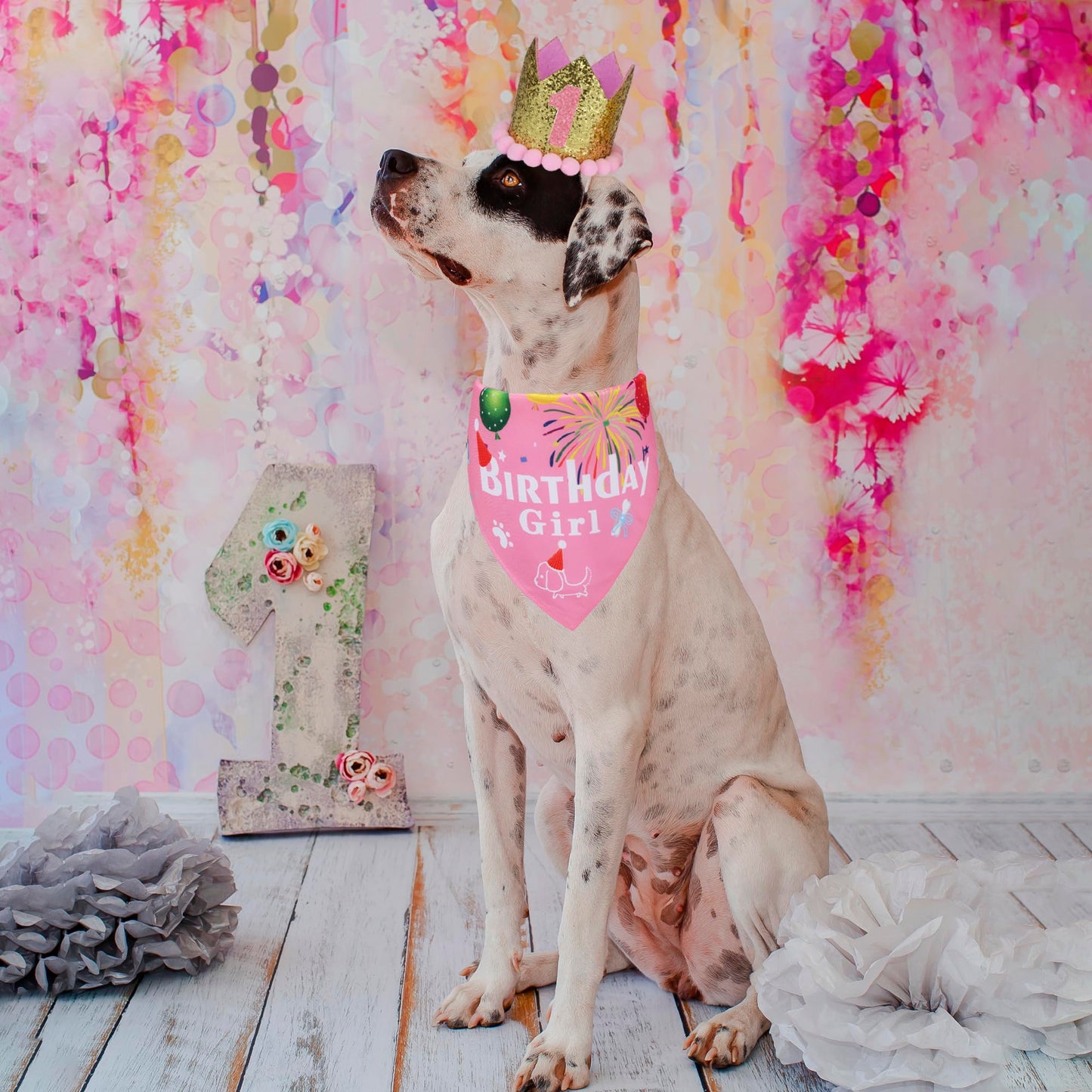 ADOGGYGO Dog Bandana Hat Set for Birthday Party Supply, Boy Girl Pet Birthday Scarf for Medium Large Dog (Large, Pink)