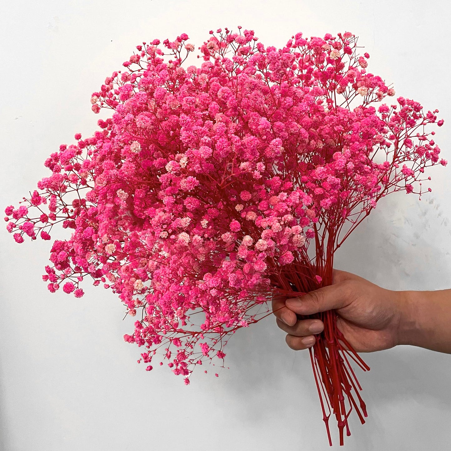 3800+ Dried Red Babys Breath Flowers Bouquet, 17" Dried Flowers for Vase, Preserved Gypsophila Branches for Crafts, Wedding, Christmas, Valentine‘s Day, Home Party Decor, DIY Wreath Floral(3Oz)