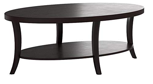 Roundhill Furniture Perth Contemporary Oval Coffee Table with Shelf, Espresso