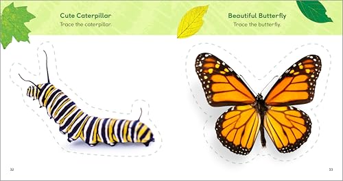 The Backyard Bug Book for Kids: Storybook, Insect Facts, and Activities (Let's Learn About Bugs and Animals)