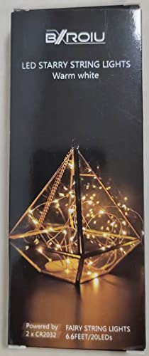 BXROIU Fairy Lights CR2032 Battery Operated,6.6Ft/2Meter 20 LEDs Micro Silver Wire String Lights for Bedroom Christmas Party Wedding Decoration (Warm White, 6 Pack)