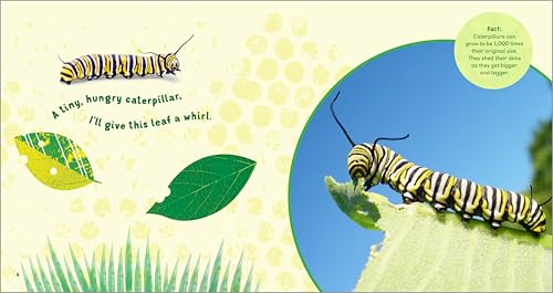 The Backyard Bug Book for Kids: Storybook, Insect Facts, and Activities (Let's Learn About Bugs and Animals)