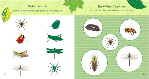 The Backyard Bug Book for Kids: Storybook, Insect Facts, and Activities (Let's Learn About Bugs and Animals)