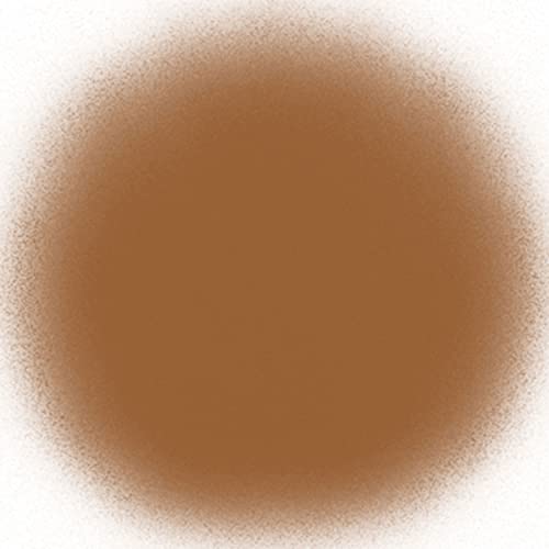 TEMPTU Air Perfect Canvas Airbrush Starter Kit, 13W Sandalwood