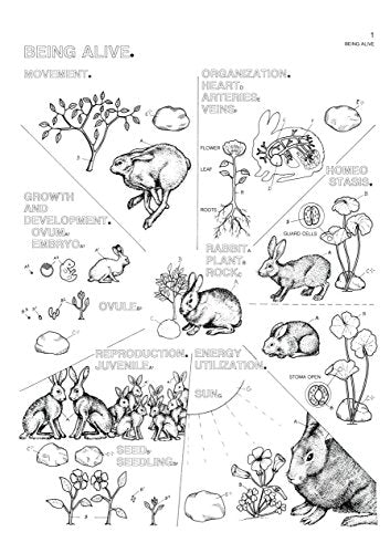 The Biology Coloring Book