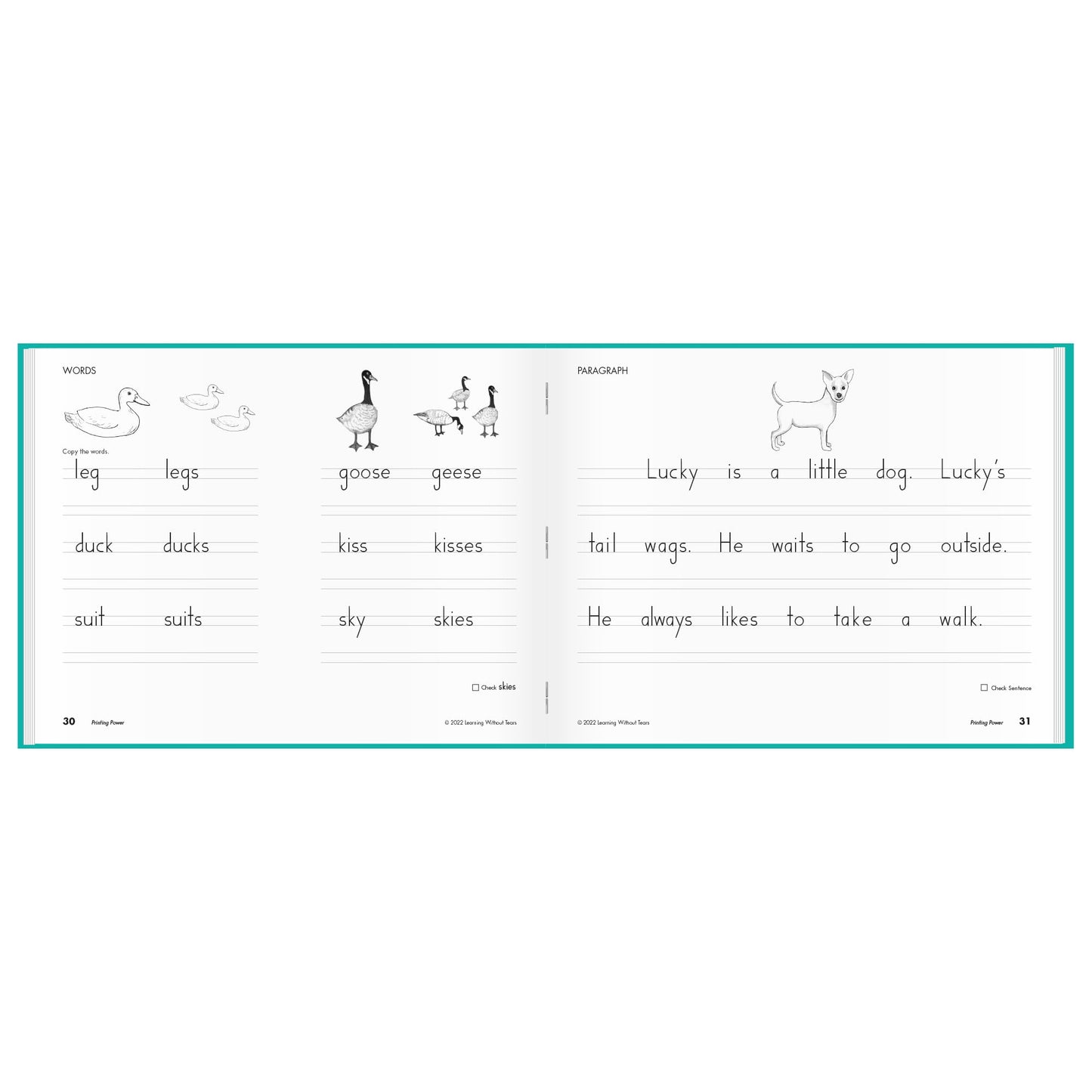 Learning Without Tears Age 7+, 2nd Grade+, Handwriting Practice, Writing Book, School & Home, Language Arts, Tutoring, Sensory