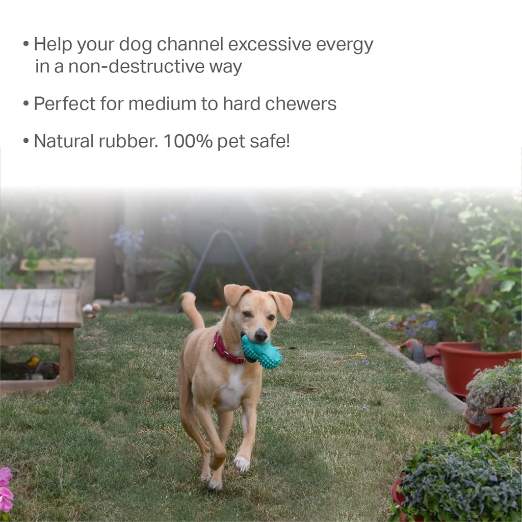 Friends Forever Squeaky Dog Toys with Tennis Ball, Tough Dog Chew Toys, Interactive Puppy Toy with Natural Rubber, Teal Hedgehog