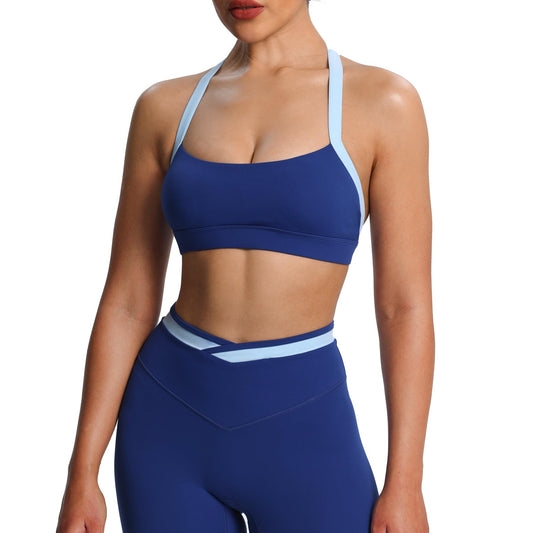 Aoxjox Women's Color Block Halter Workout Sports Bras Fitness Athletic Vanessa Bra Yoga Crop Tank (Bellwether Blue/Airy Blue, X-Large)
