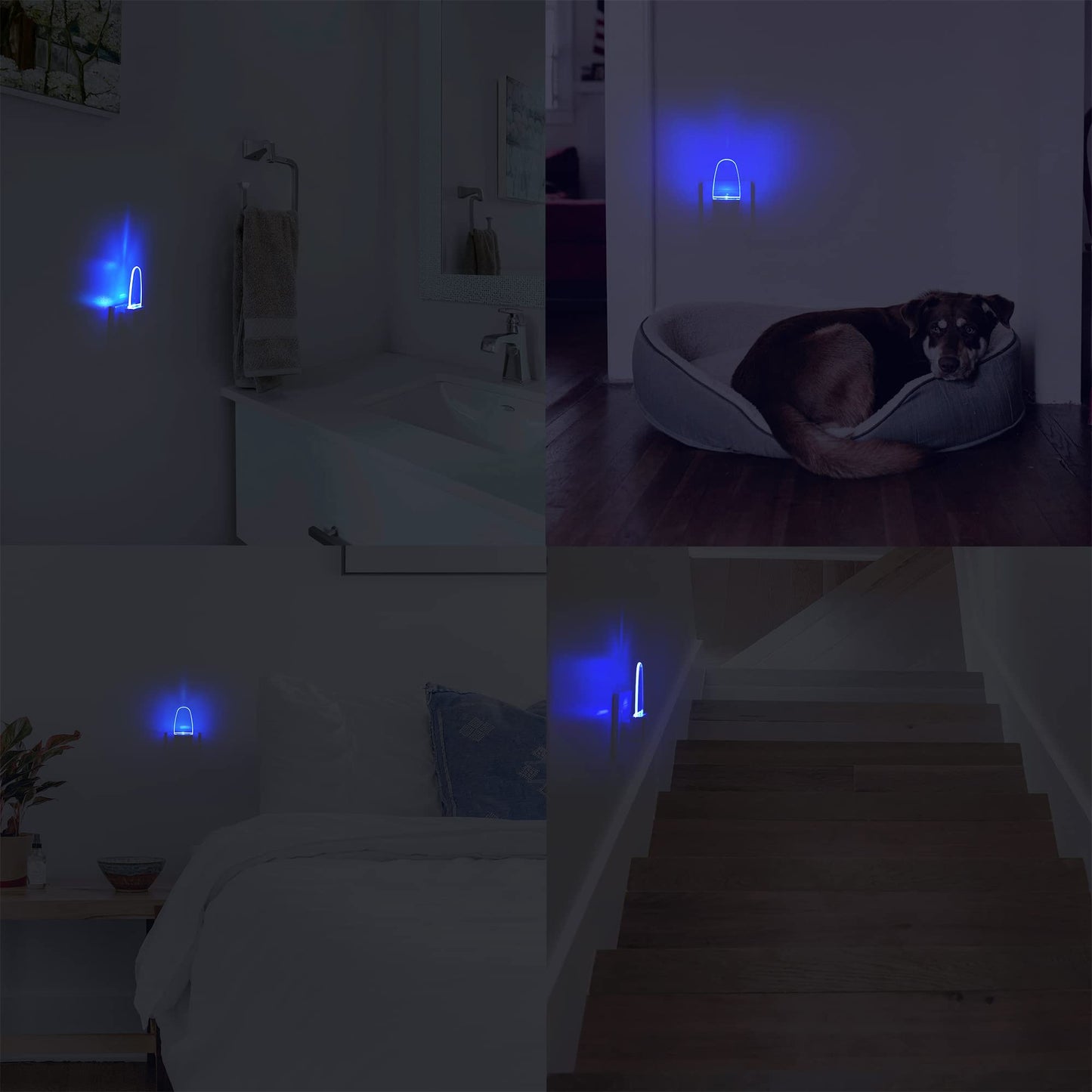 REMINDA 4 Pack Night Light Lamp with Dusk to Dawn Sensor, Plug in, Blue Led Night Light