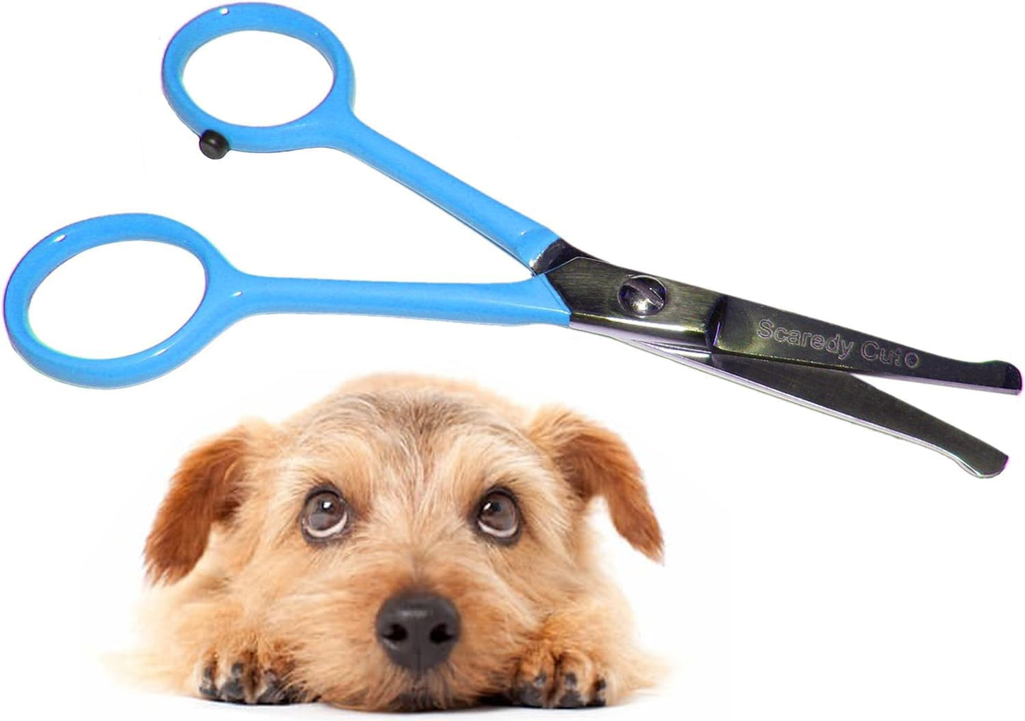 Tiny Trim 4.5" Ball-Tipped Scissor for Dog, Cat and all Pet Grooming - Ear, Nose, Face & Paw - Scaredy Cut's small Safety Scissor Blue