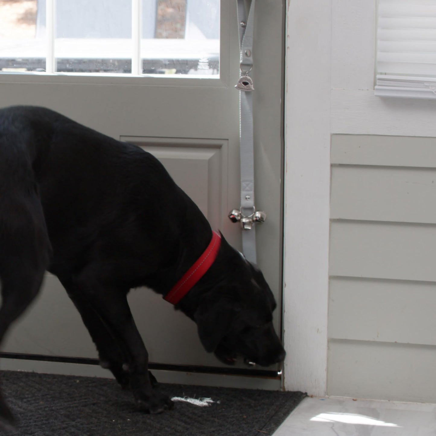 Caldwell's Pet Supply Co. Dog Potty Bells, Dog Door Bell, Bells to Go Outside, Potty Training Bell, Dogs Doorbell, Dogs Potty Doorbell, Ring to Go Pee, All Breed Puppy Training Tool