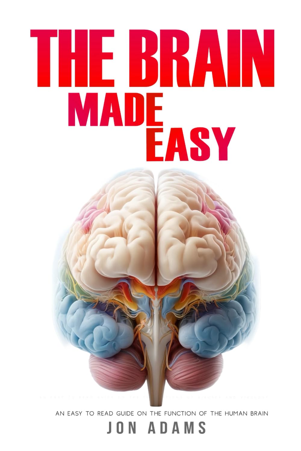 The Brain Made Easy: An Easy To Read Guide On The Function Of The Human Brain