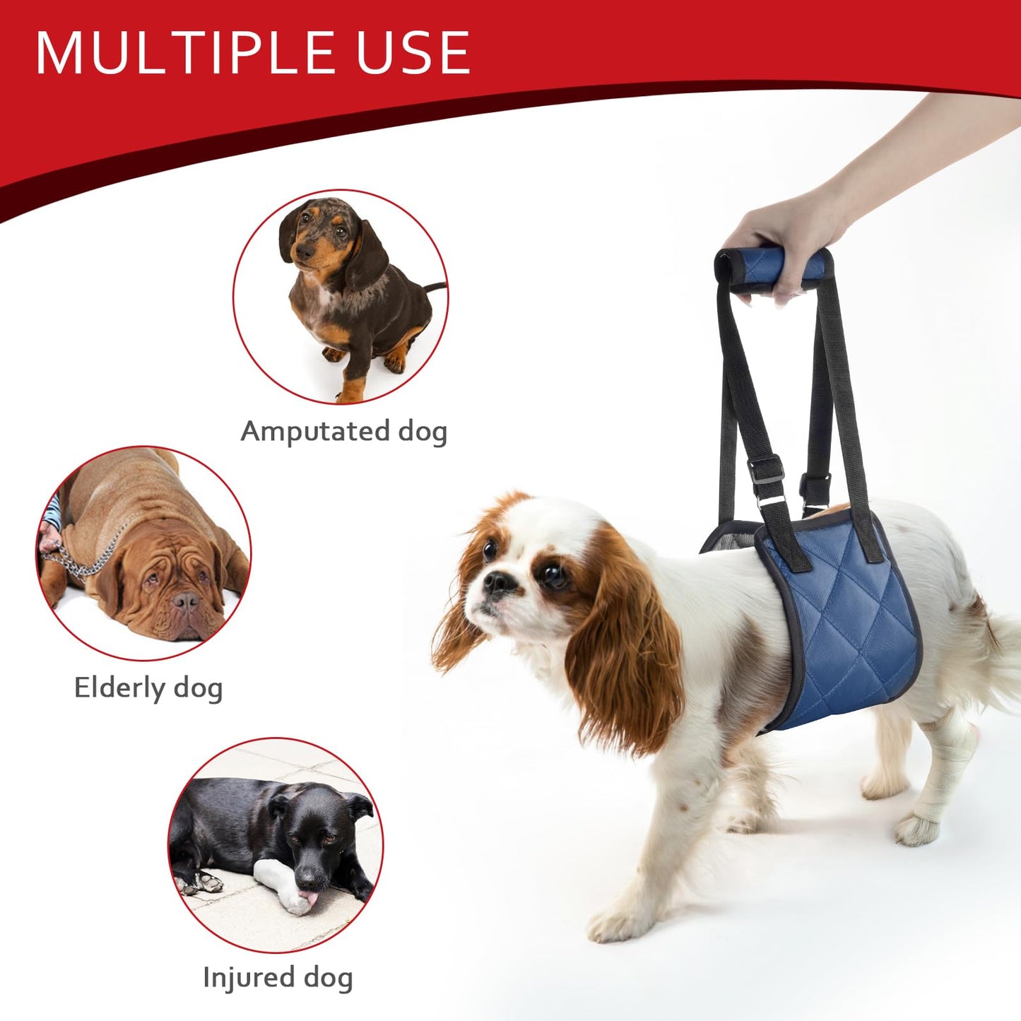Adjustable Dog Sling Dog Lift Harness for Large Dogs, Hind Leg Support Portable Soft Lift Support and Rehab Harness for Weak Rear Legs, for Senior, Injured, Disabled and After Surgery Dogs Large
