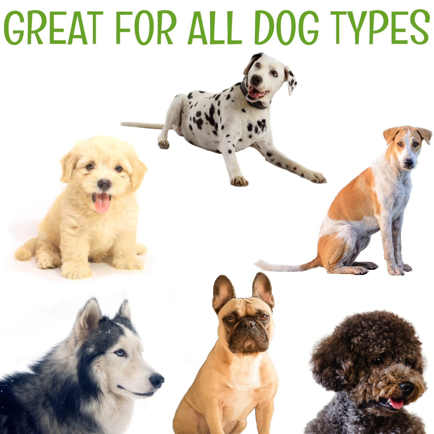 Petazy Dog Wipes for Paws and Butt Ears Eyes | Organic Pet Wipes for Dogs | Hypoallergenic Lavender Scented Dog Wipes Cleaning Deodorizing | Extra Thick Plant Based Wipes Dogs Cats Pets | 100 Count