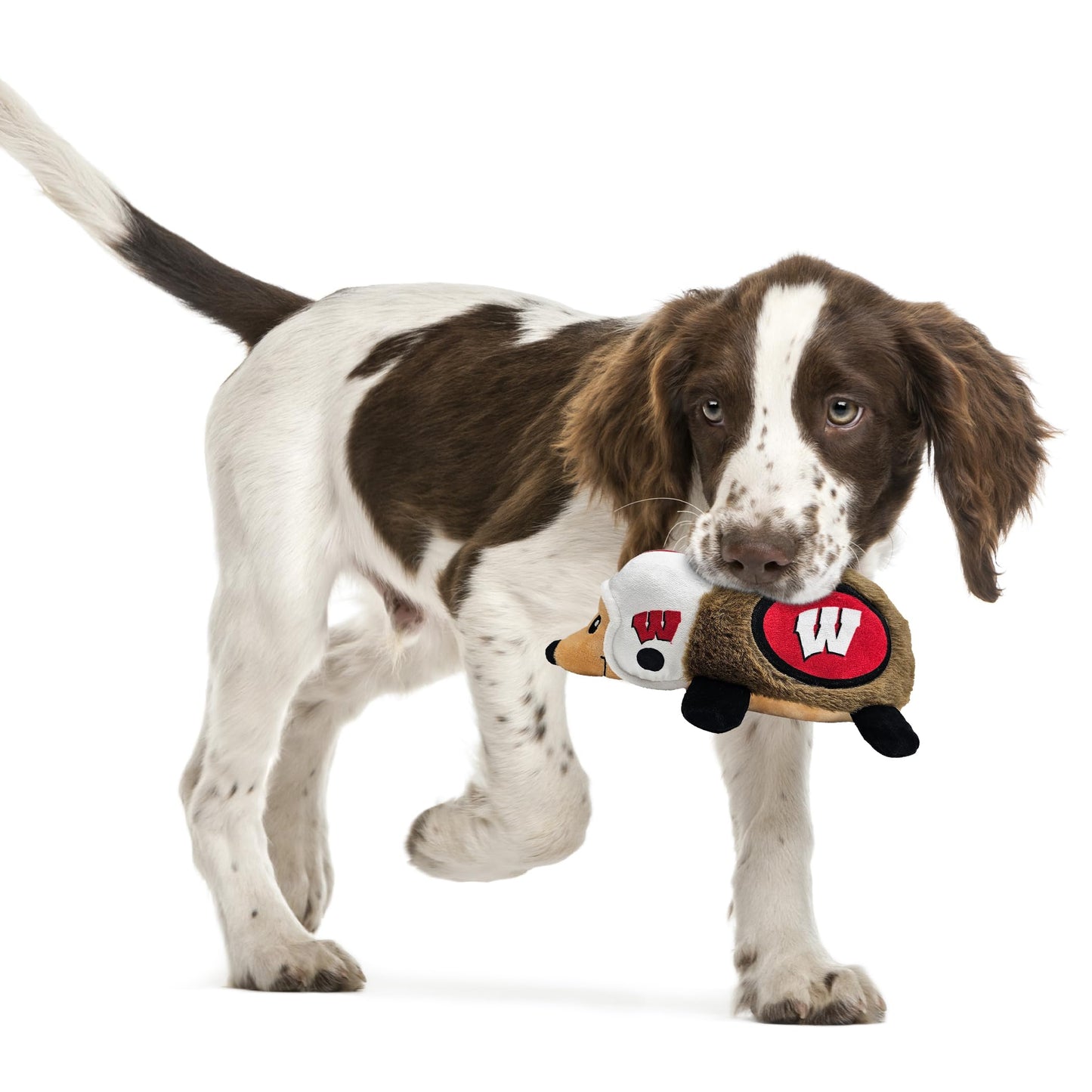 NCAA Wisconsin Badgers Plush Hedgehog Toy for Dogs & Cats, Cool Soft Pet Toy for Fun and Interactive Play, Dog Chew Toy with Squeaker, Licensed Hot Pet Toy