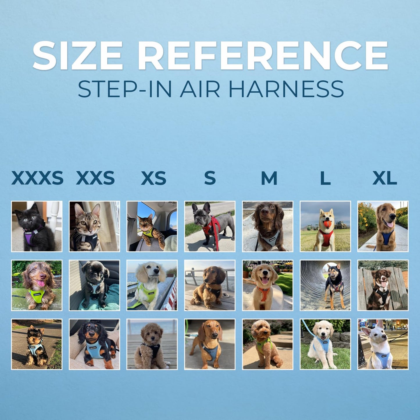 Best Pet Supplies Voyager Step-in Air Dog Harness - All Weather Mesh, Reflective, No Pull Harness for Small, Medium Dogs, Cats - Secure with Hook & Loop Fastener, Buckle, Double D-Rings - Pink, S