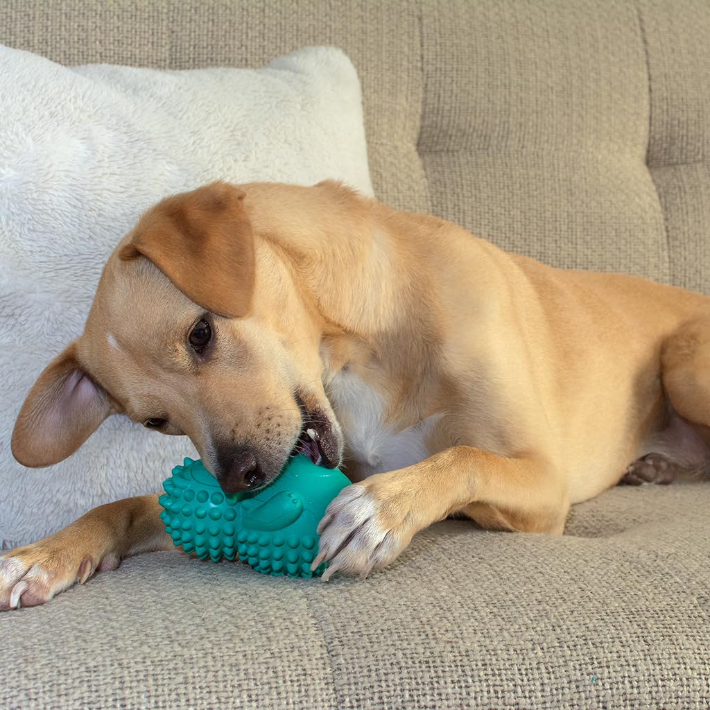 Friends Forever Squeaky Dog Toys with Tennis Ball, Tough Dog Chew Toys, Interactive Puppy Toy with Natural Rubber, Teal Hedgehog