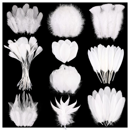 FeelfunFeather 300 pcs Black Craft Feathers- 10 Style Mixed Natural Feather for DIY Earring Home Party Halloween Easter Costume Decoration