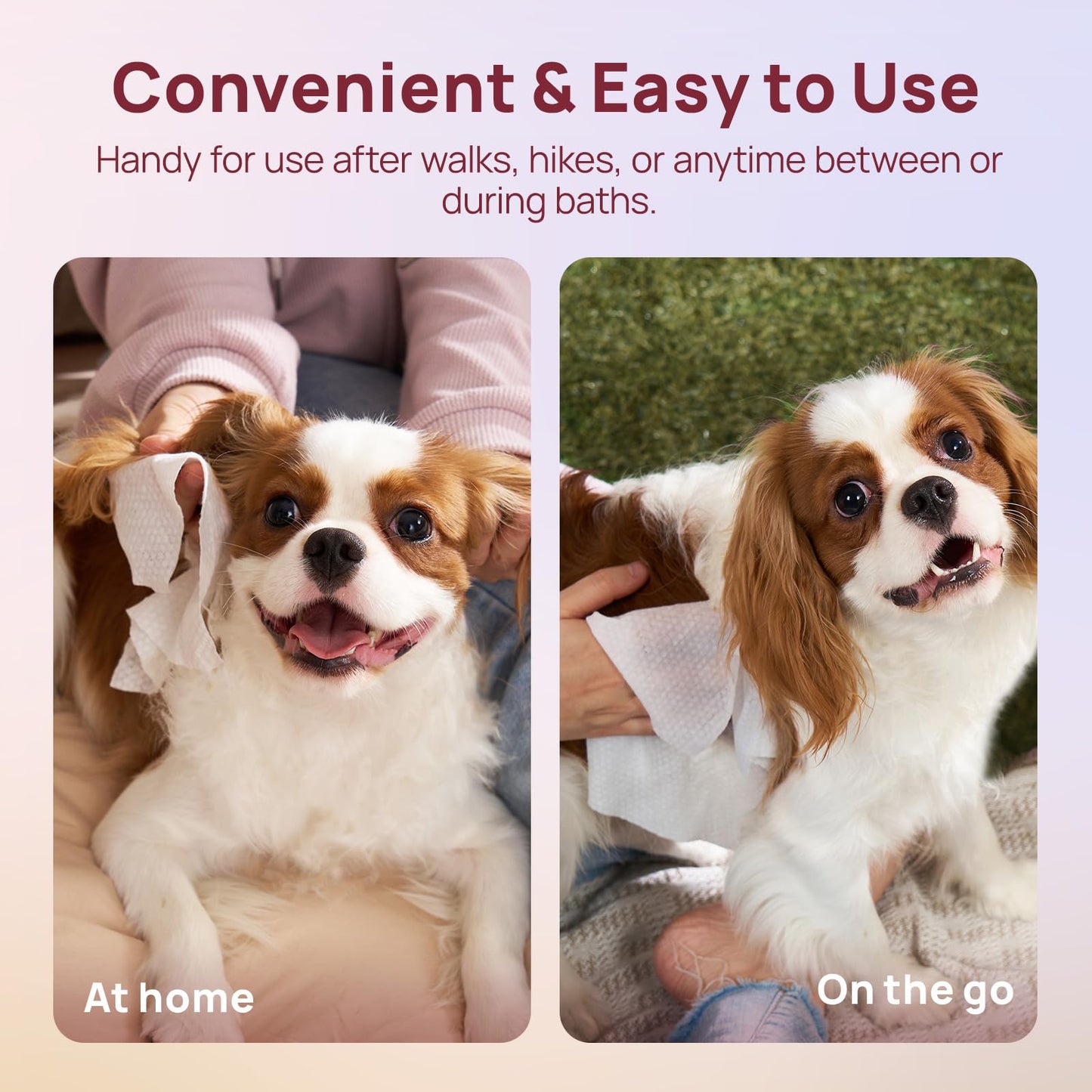 HICC PET Cleaning Deodorizing Wipes for Dogs & Cats, Vet Recommended Nourishes Smoothes Fur Pet Grooming Wipes with Fermented Coconut Oil, Hypoallergenic Dog Wipes for Paws and Butt, Face, Body