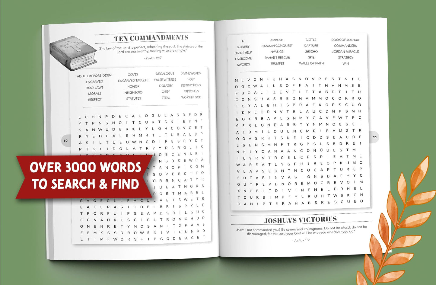Inspirational Bible Word Search for Adults: Large Print Word Puzzles for Christian Faith, Love and Hope (Word Find Books For Adults)