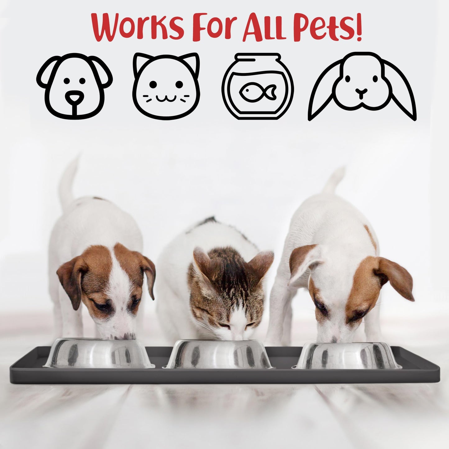 DogBuddy Dog Food Mat – Waterproof Dog Bowl Mat for Food and Water, Silicone Pet Feeding Mats for Floors, Non-Slip Placemat with High Edges for Dogs Bowls, Puppy Essentials (Small: 19"x12", Shadow)