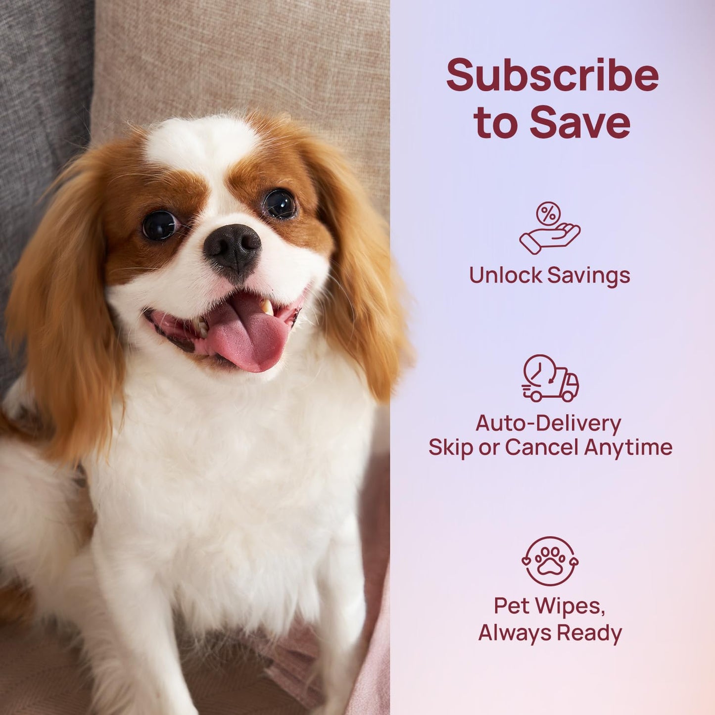 HICC PET Cleaning Deodorizing Wipes for Dogs & Cats, Vet Recommended Nourishes Smoothes Fur Pet Grooming Wipes with Fermented Coconut Oil, Hypoallergenic Dog Wipes for Paws and Butt, Face, Body