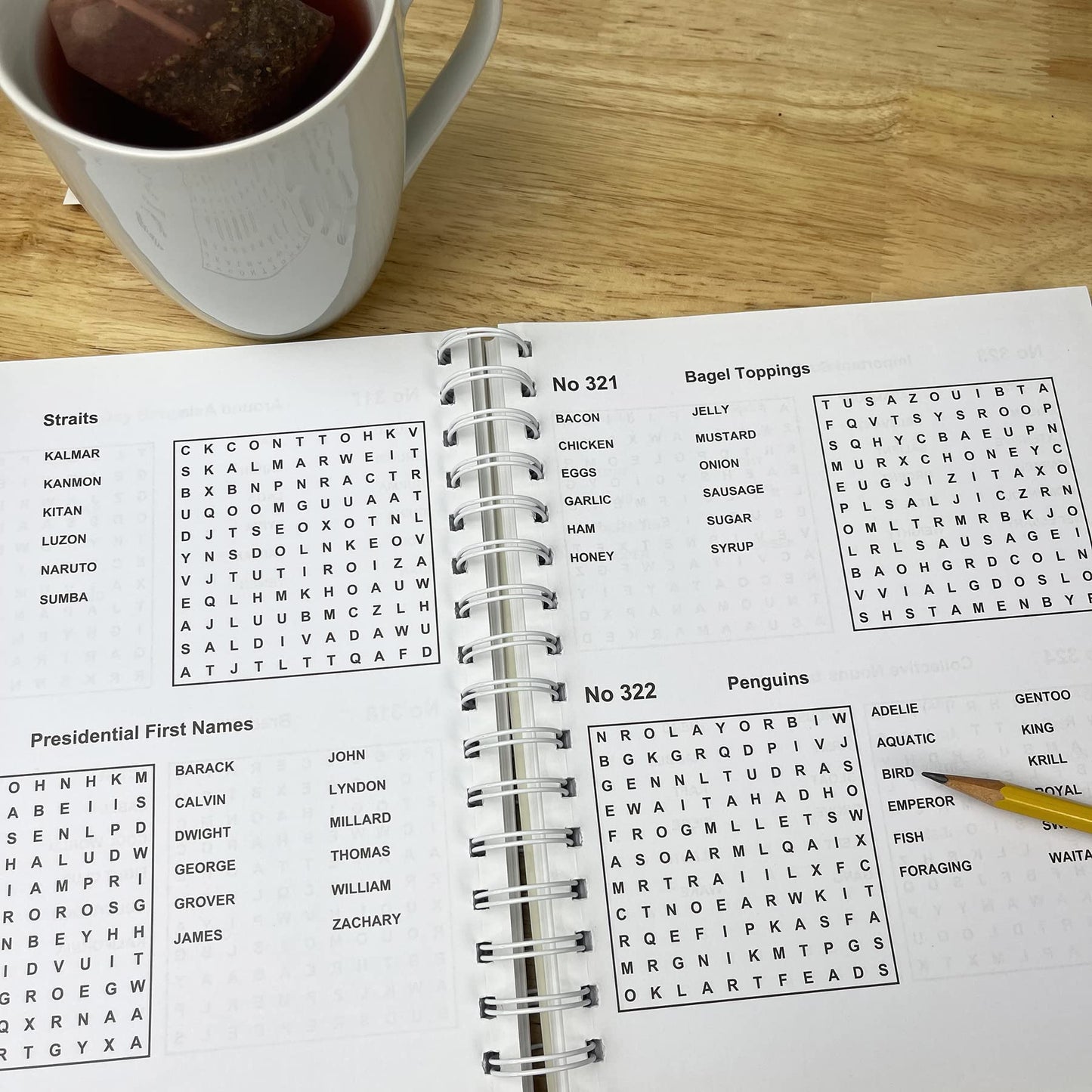 The Big Book of Word Search Puzzles: 500 Word Search Puzzles for Adults (Part of the Brain Busters Puzzle Collection)