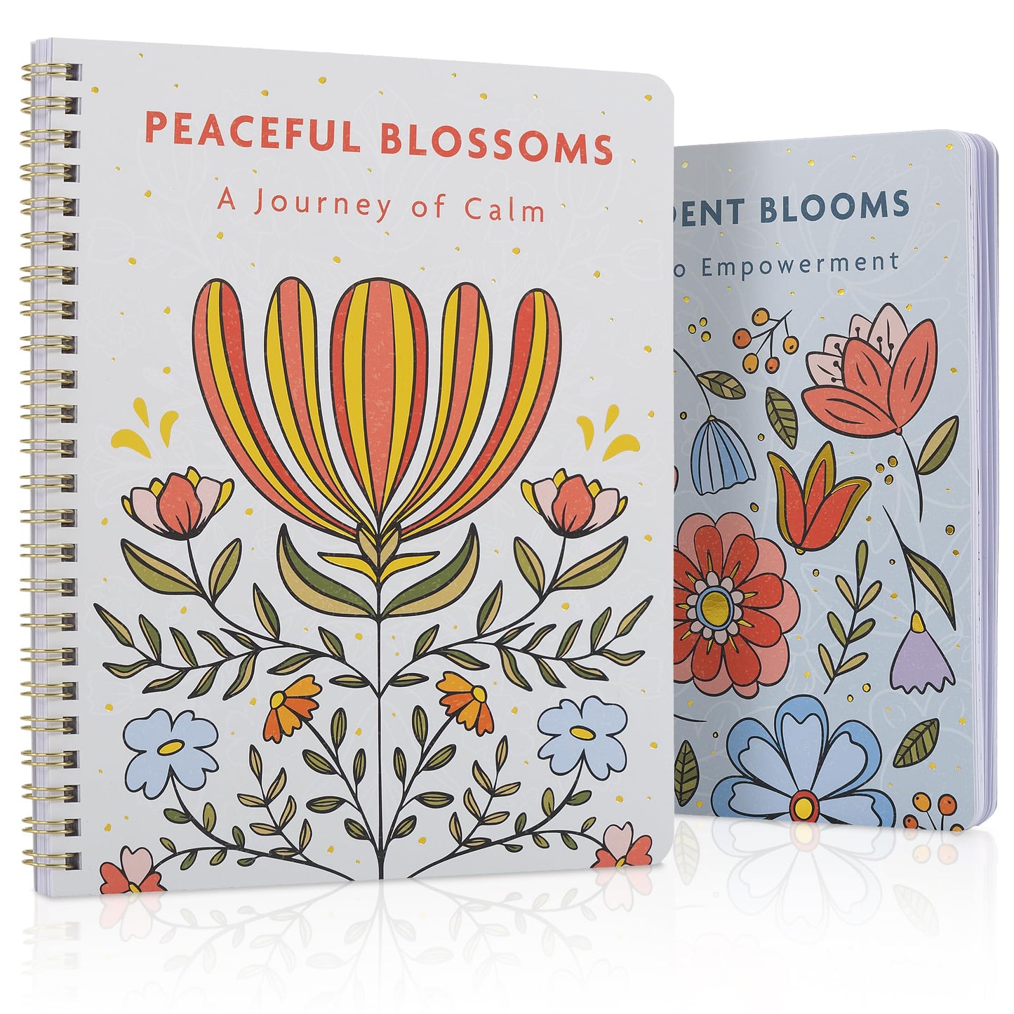 ZICOTO Beautiful Adult Coloring Book Set of 2 for Relaxation - Affirmation and Inspirational Books Making it a Great Gift - Perfect Stress-Relieving Books Fun to Color for Women