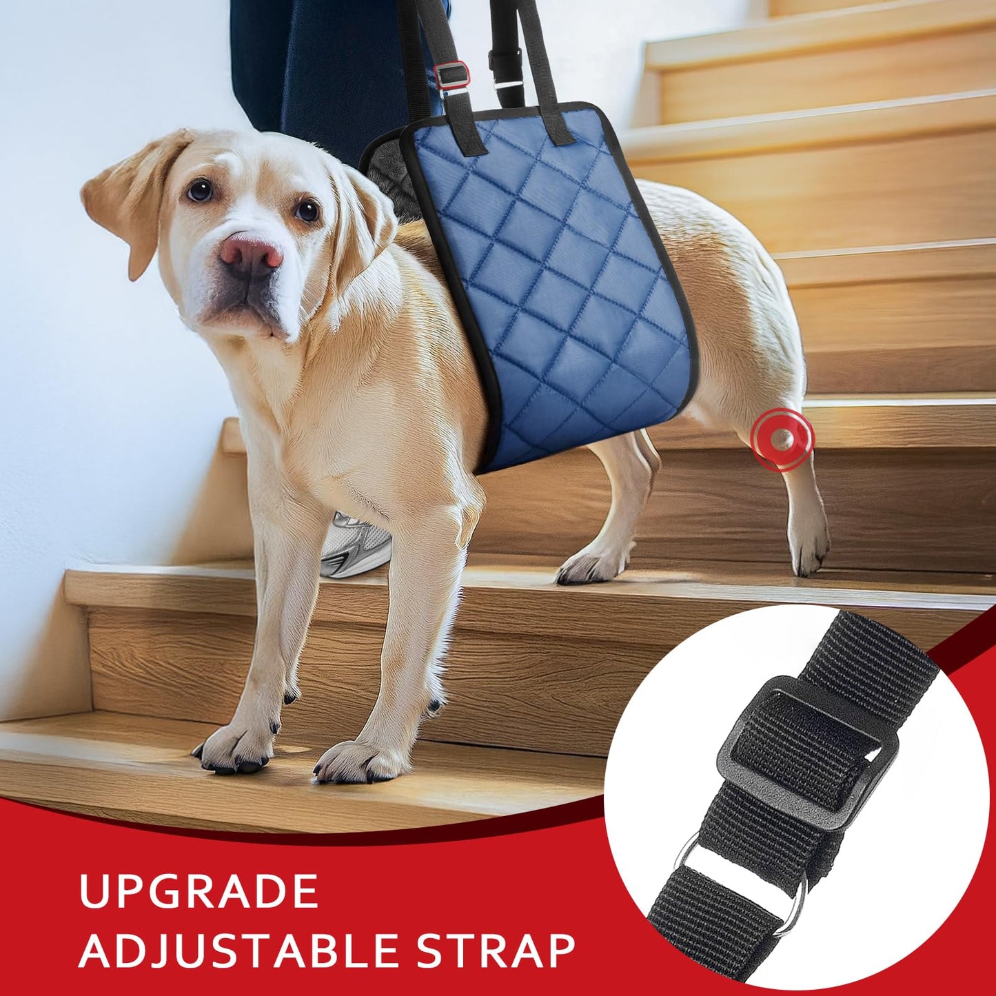 Adjustable Dog Sling Dog Lift Harness for Large Dogs, Hind Leg Support Portable Soft Lift Support and Rehab Harness for Weak Rear Legs, for Senior, Injured, Disabled and After Surgery Dogs Large