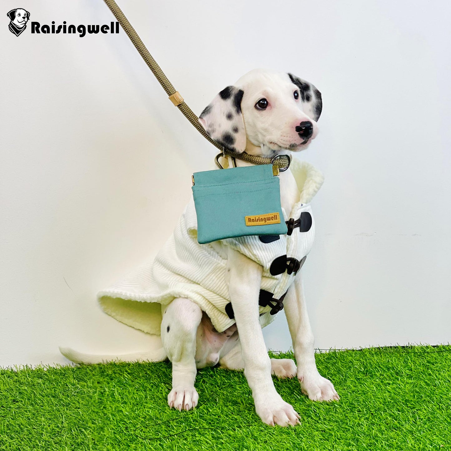 Raisingwell Dog Treat Pouch, Green Pocket Sized Pet Training Pouch, Cotton Fabric, Hand Free Dog Walking Bag with Carabiner, Self-Closing Pet Feed Snack Reward, for Puppy Travel or Outdoor Use