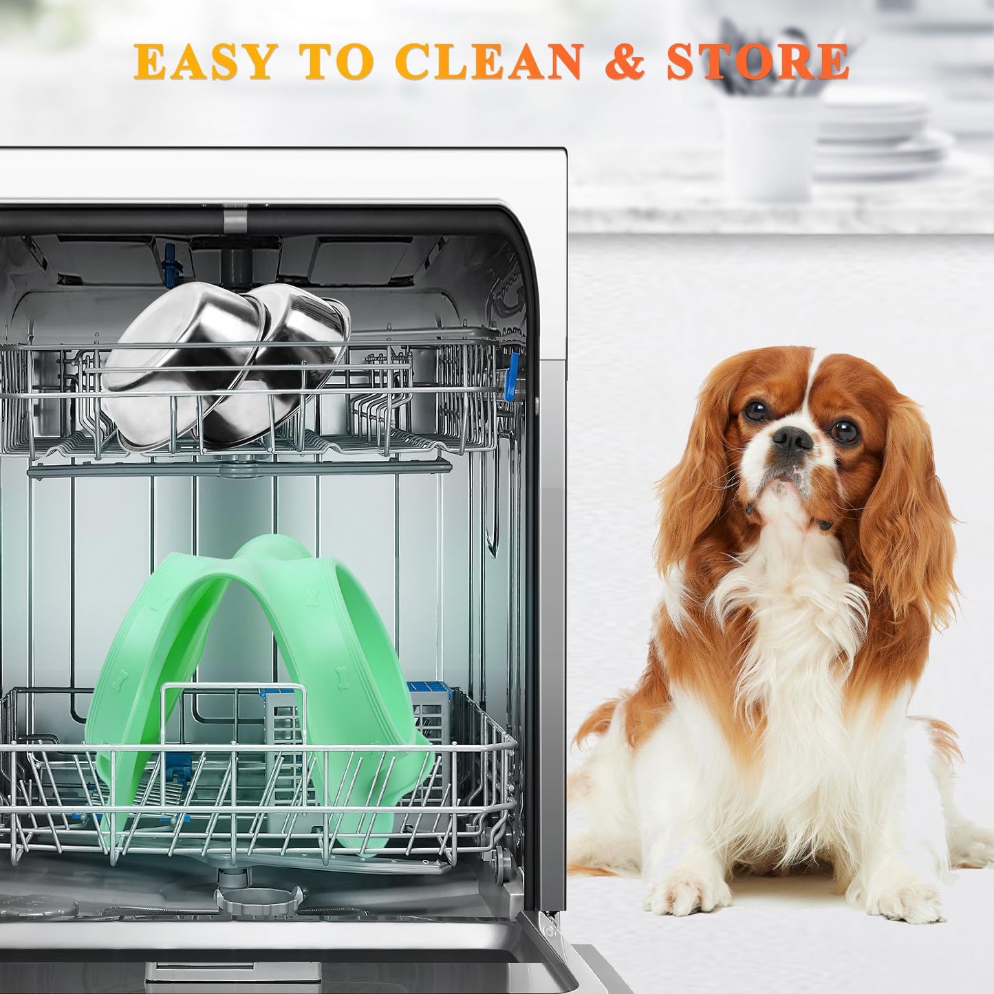 VIVAGLORY Dog Bowls, Stainless Steel Cat Puppy Dogs Water Food Bowls with Non Spill Skid Resistant Silicone Mat, Small, Mint Green