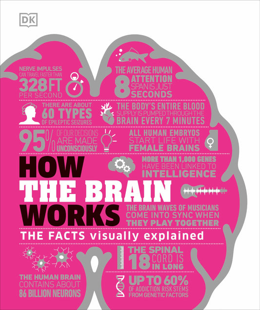 How the Brain Works: The Facts Visually Explained (DK How Stuff Works)