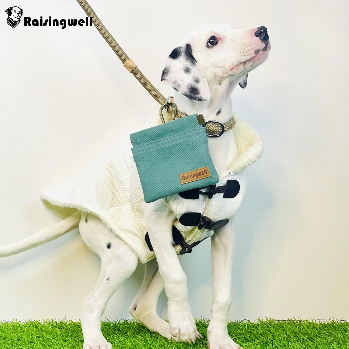 Raisingwell Dog Treat Pouch, Green Pocket Sized Pet Training Pouch, Cotton Fabric, Hand Free Dog Walking Bag with Carabiner, Self-Closing Pet Feed Snack Reward, for Puppy Travel or Outdoor Use