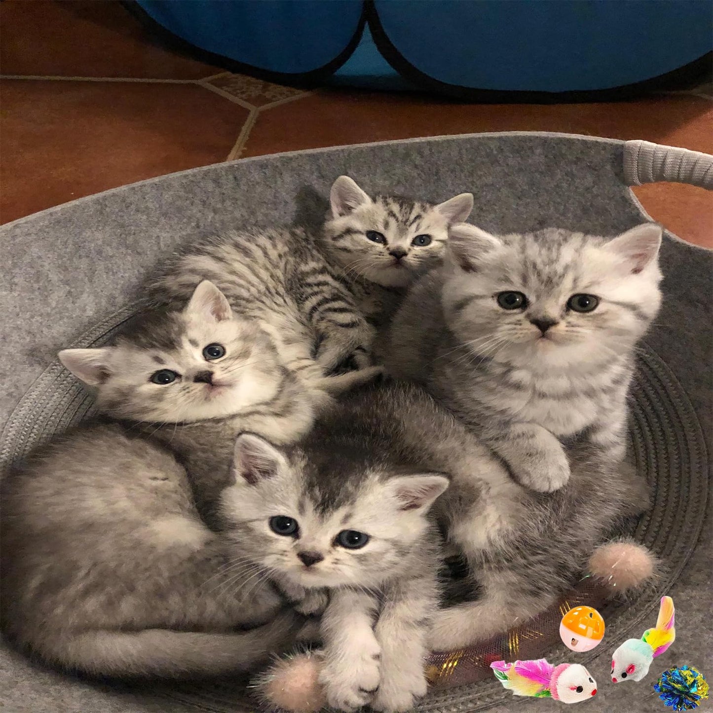 KITCHSTAR 46 PCS Cat Toys for Indoor Cats, Kitten Toys with Cat Spring Toy, Mint Catnip with Crinkle Mouse Ball for Indoor Cats Kittens Exercise