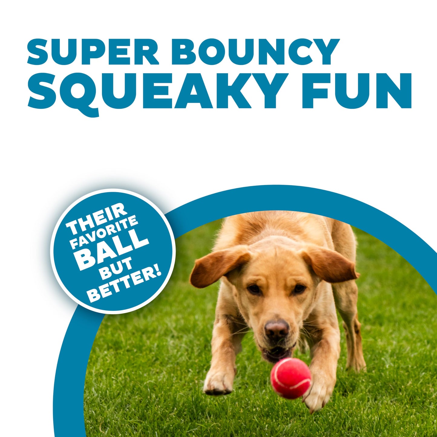 Outward Hound Squeaker Ballz Fetch Dog Toy, Medium - 4 Pack