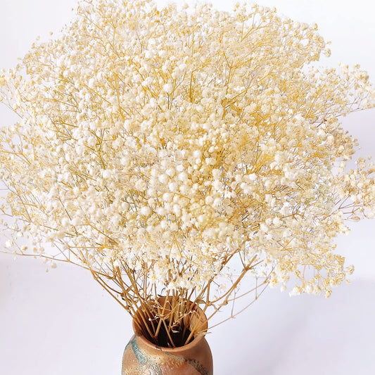 3800+ Dried Red Babys Breath Flowers Bouquet, 17" Dried Flowers for Vase, Preserved Gypsophila Branches for Crafts, Wedding, Christmas, Valentine‘s Day, Home Party Decor, DIY Wreath Floral(3Oz)