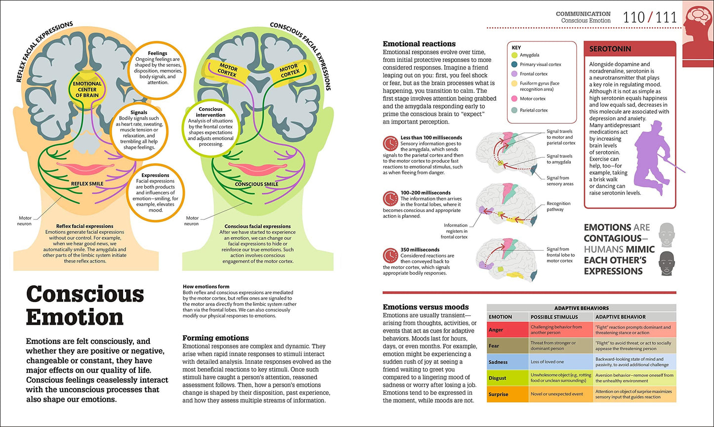 How the Brain Works: The Facts Visually Explained (DK How Stuff Works)
